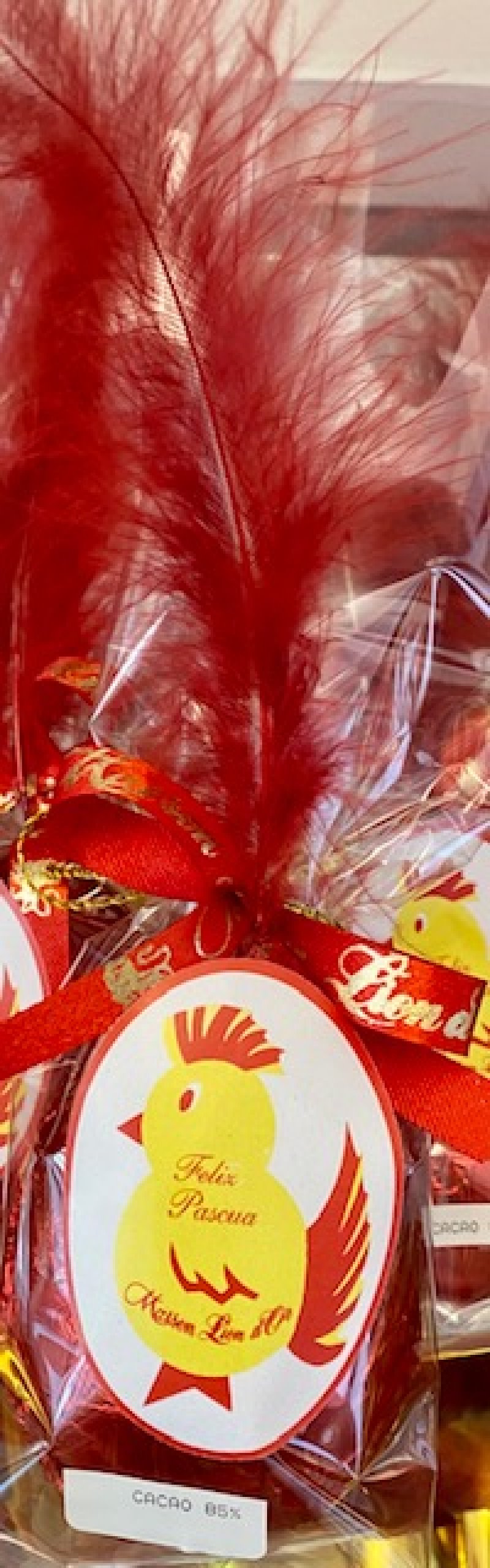 Huevo de Pascua de Chocolate 75 % decorado 