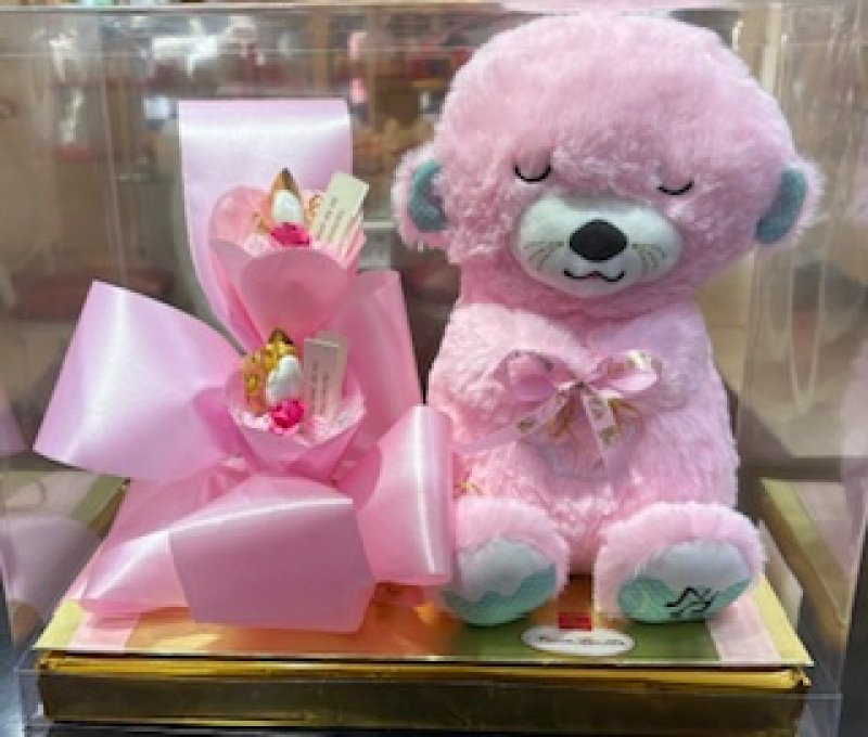 Koala con luz, movimiento y sonido